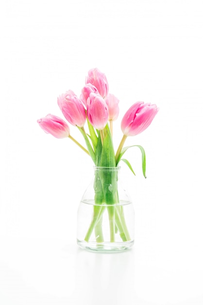 roze tulpenbloem in vaas op witte achtergrond