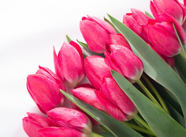 Roze tulpenboeket dat op witte oppervlakte wordt geïsoleerd.