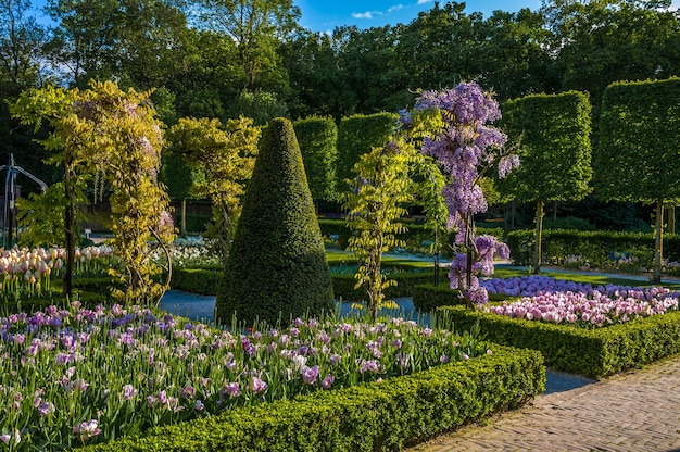 Roze tulpenstruiken en groene boog Keukenhof Park Lisse in Holland