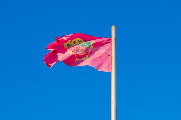 Roze vlag van de stad Zaporozhye tegen de blauwe lucht.