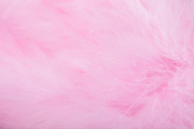 Roze vogelveren in zachte en onduidelijk beeldstijl, Pluizige roze veerachtergrond