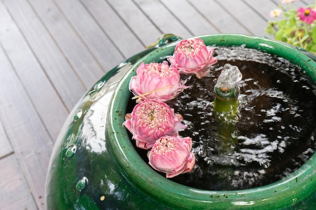 Roze vouw lotus stromen op het wateroppervlak in grote groene vintage ja en fontein in het midden ervan