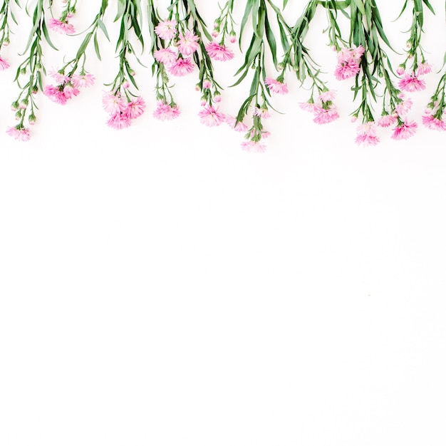 Roze wilde bloemen op wit