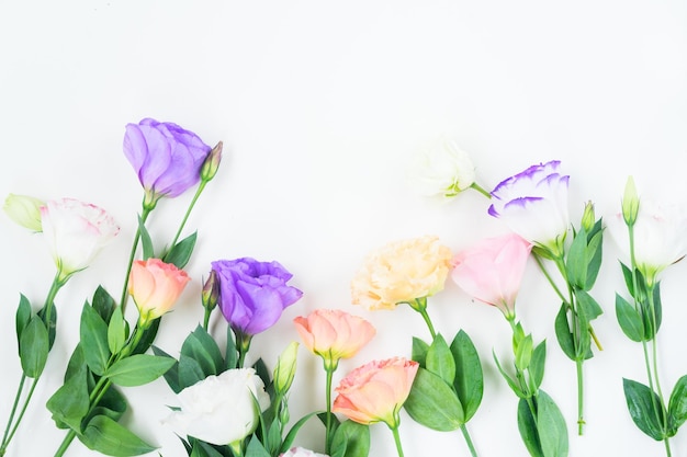 Roze witte en violette eustoma bloemenrand