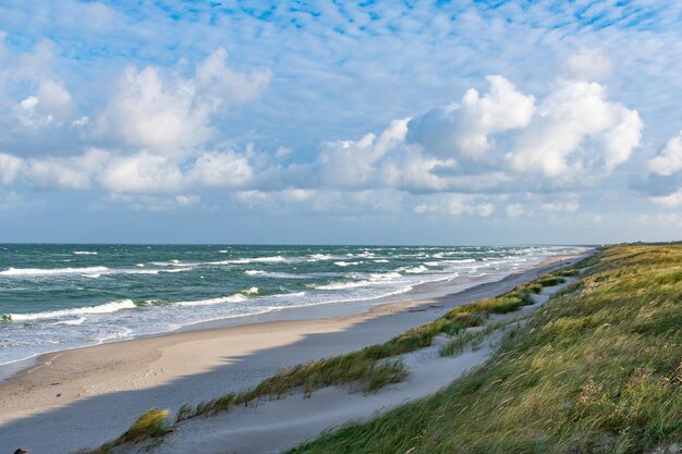 Foto roze zee met golven in de herfst of winter zandstrand en duinen met riet en droog gras 's morgens