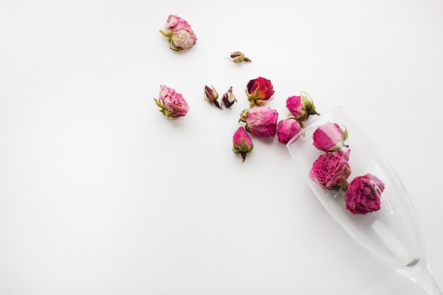 rozen in een glas op een witte achtergrond