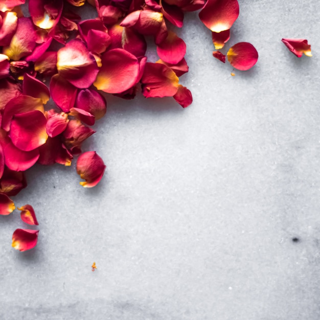 Rozenblaadjes op marmeren achtergrond bloemendecor en bruiloft flatlay vakantie wenskaart achtergrond voor...