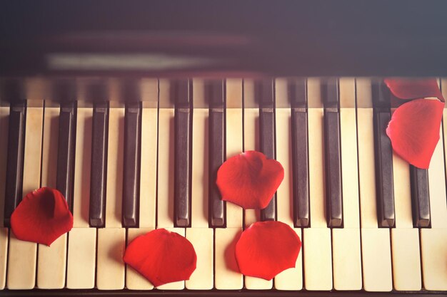 Foto rozenblaadjes op pianotoetsen