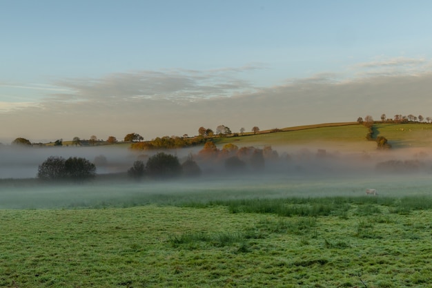 Rual Ireland.Foggy sunrise over the farmland in the midlands of Ireland.