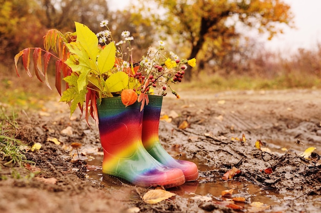 Stivali di gomma color arcobaleno con un mazzo di foglie gialle e fiori autunnali in una pozzanghera e terra