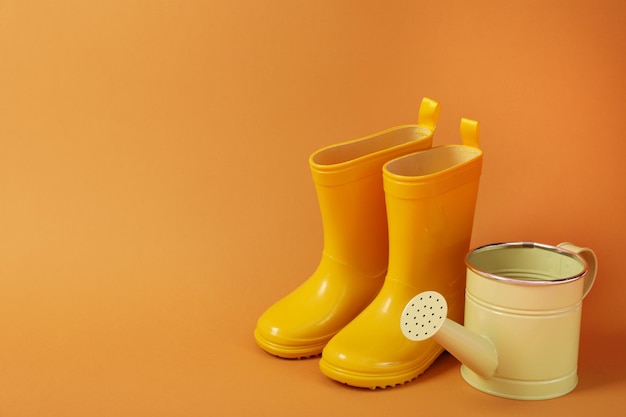 Rubber boots and watering can space for text