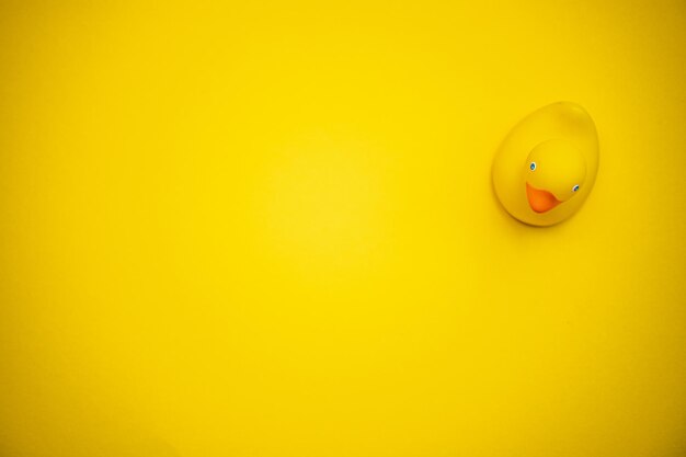 Rubber duck isolated on yellow background. soft focus