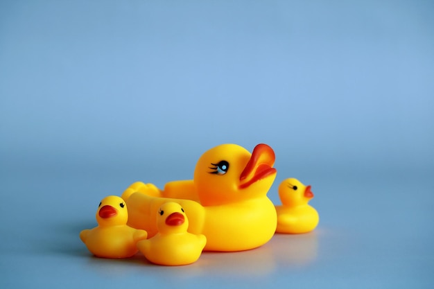 Rubber duck with ducklings on a blue