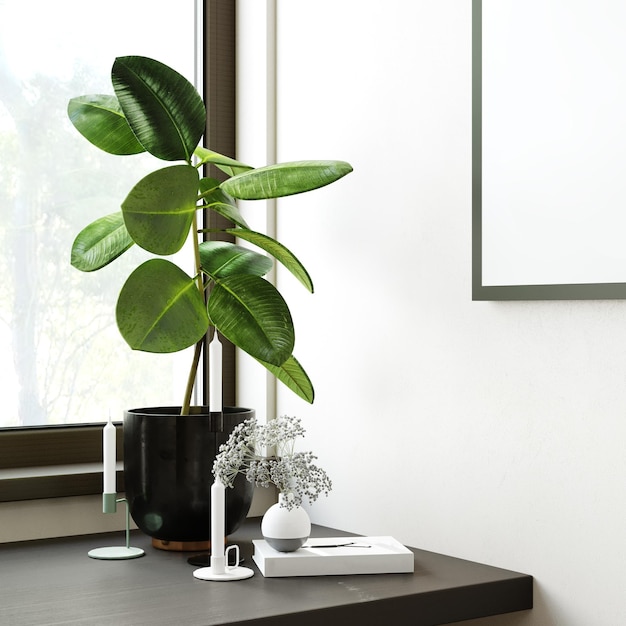 사진 내부의 고무 ficus