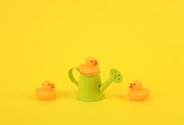 Rubber little ducklings with watering can on a yellow background