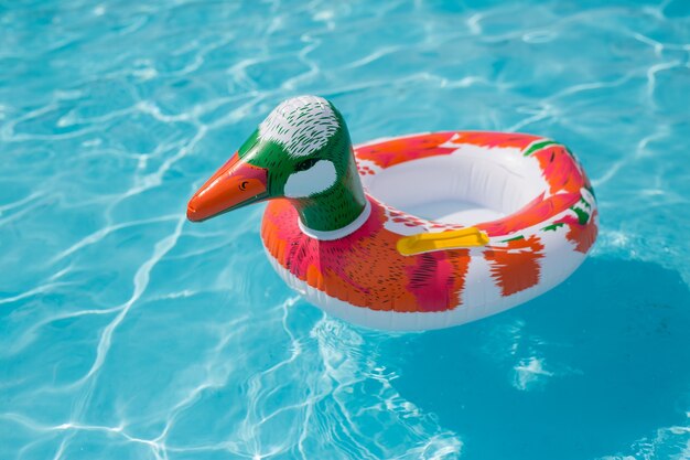 Rubber swimming ring on water.