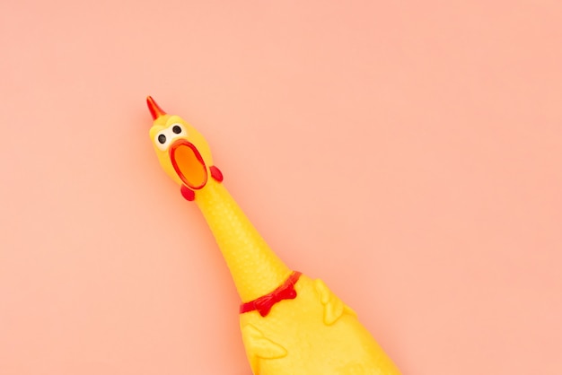 Photo rubber toy chicken that screams isolated on a coral background