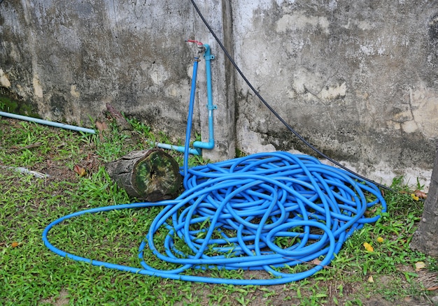 Rubber tube for watering plants in the garden, Rubber tube on grass in the garden