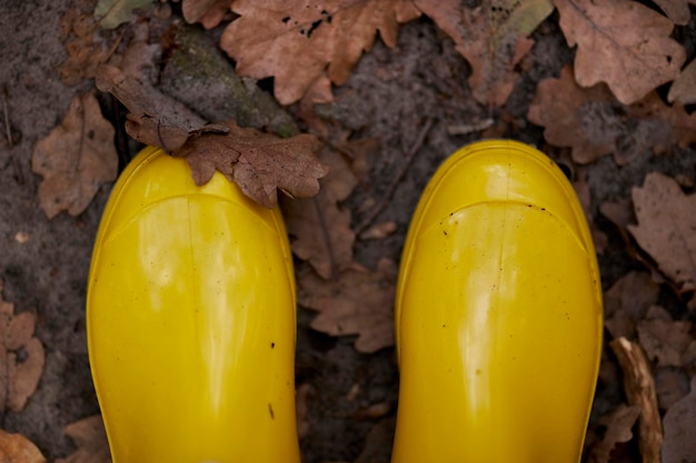 Rubber yellow boots close-up. Boots for rainy weather. against the backdrop of autumn foliage.