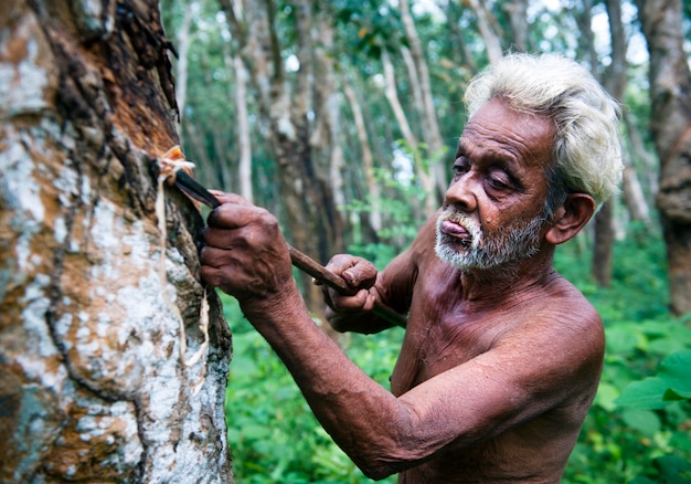 Rubberboer op een plantage in Sri Lanka