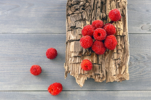 Rubus illecebrosus японская малина