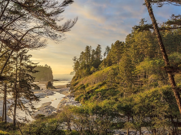 ruby beach at olympic national park usa