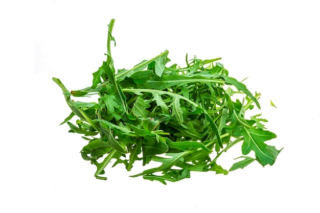 Ruccola