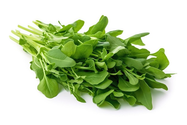 Rucola Op Een Witte Achtergrond Generatieve AI