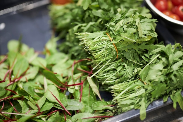 rucola zuring in trossen close-up Verschillende verse kruiden op houten achtergrond