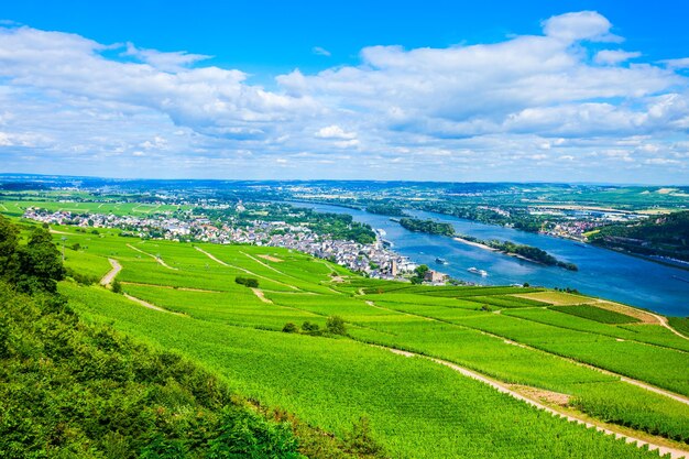 Rudesheim am Rhein Vineyards Germany