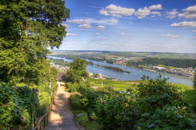 Ruedesheim town on the bank of Rhein river Rheinmainpfalz Germany
