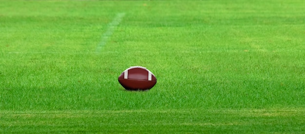 Мяч для регби лежит на зеленой лужайке.