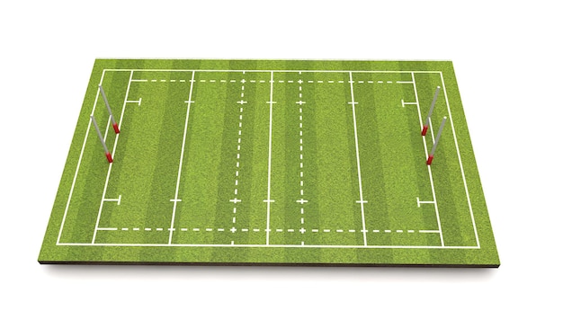 Rugby pitch with lines and goals 3D Rendering