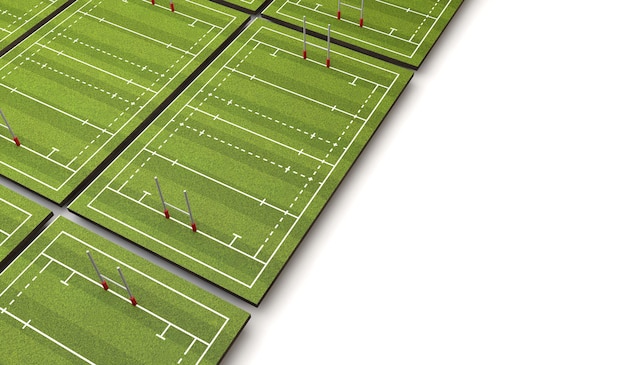 Rugby pitch with lines and goals 3D Rendering