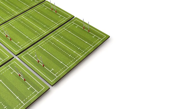 Rugby pitch with lines and goals 3D Rendering