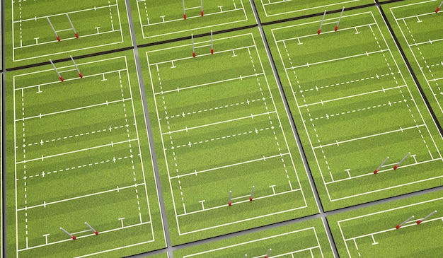 Rugby pitch with lines and goals 3D Rendering