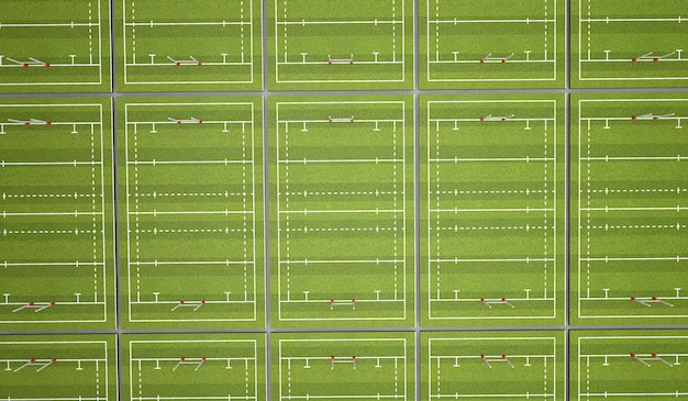 Rugby pitch with lines and goals 3D Rendering