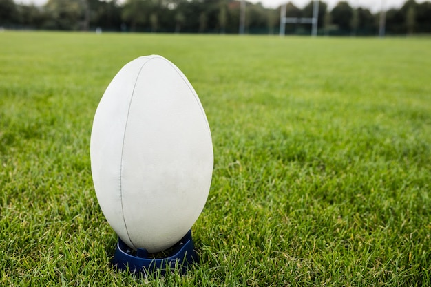 Rugbybal op het veld