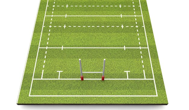 Rugbyveld met lijnen en doelen 3D-rendering