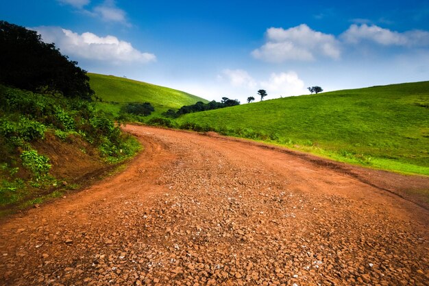 Rugged muddy road passing through beatiful green grass rolling hills with fluffy clouds