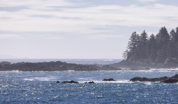 Rugged Rocks on a rocky shore on the West Coast of Pacific Ocean