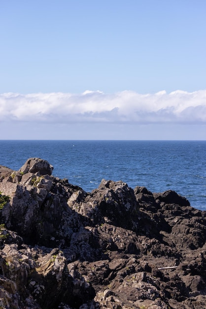 Rugged Rocks on a rocky shore on the West Coast of Pacific Ocean