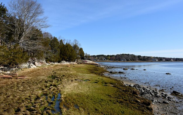 湿地の草と潮溜まりのある険しい海の景色