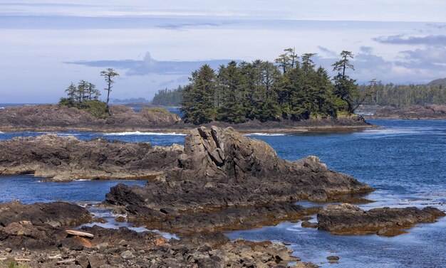 Foto ruige rotsen op een rotsachtige kust aan de westkust van de stille oceaan