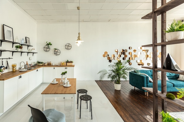 Ruim studio-appartement ingericht met hout en wit. Minimalistisch design met grote ramen in het zonlicht. keuken en woonkamer