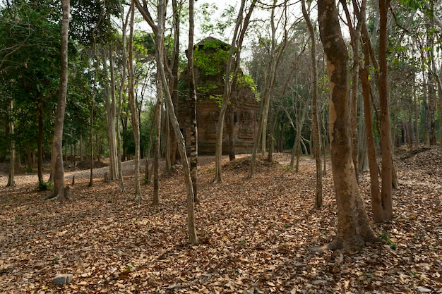 写真 カンボジアの森のコンポントムワット寺院の廃墟。