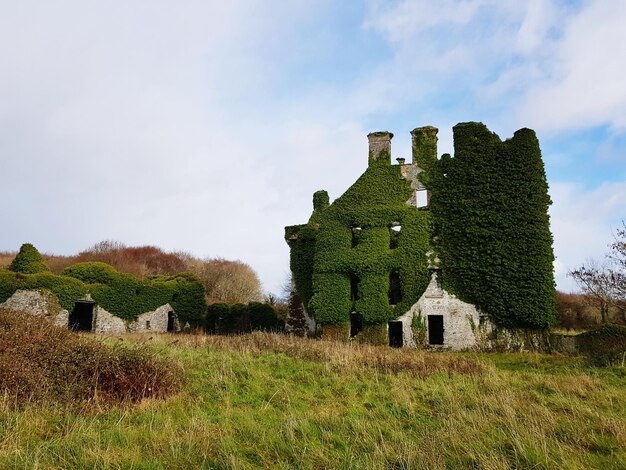 Foto ruine a galway