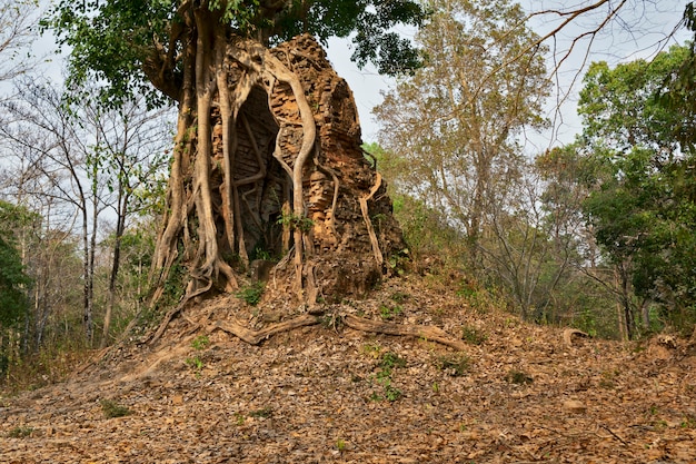 Foto ruïne van de tempel van kampongtom wat in bos kambodja.