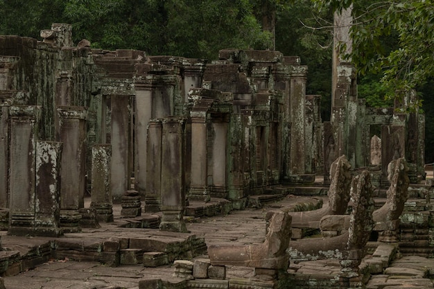 사진 숲 속 에 있는 바이온 사원 의 폐허 로 된 기둥 들