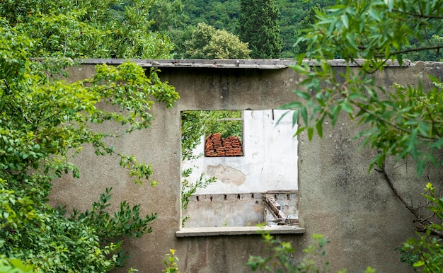 Ruined house in the forest